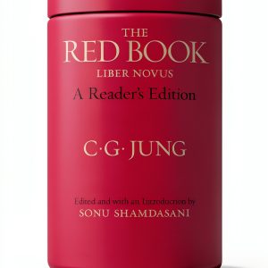 Jungian Psychology Book by W. W. Norton – 601‑Page Kindle Edition-0